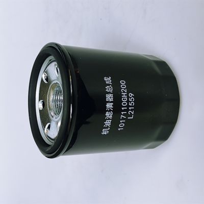 OE NO. 1017110GH20001 Peças de reposição para automóveis Filtros de combustível