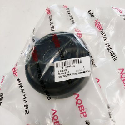 JAC Auto Parts Pulley de bomba de água para J3 J5 S2 S3 OE NO. 10*10*3