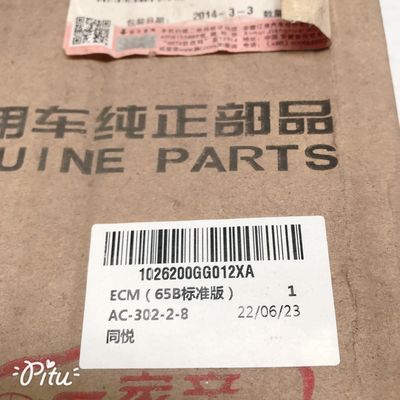 Auto Parts ECM 65B Edição Padrão para JAC Tong Yue Saloon 1026200GG012XA