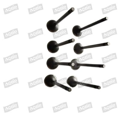 Shuailing T6 15/04- OE Número 1003014FD040 válvula de admissão para 2007- Peças automotivas